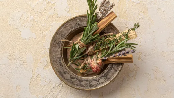 Tıbbi ve Aromatik Bitkiler Eğitimi