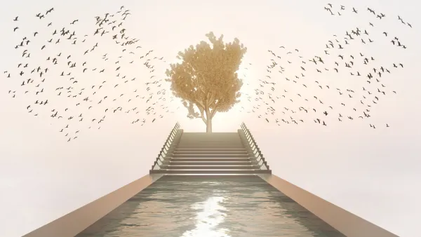 Cenaze Hizmetleri (Gassallık) Eğitimi